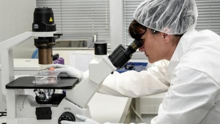 Cellectis : une étape encourageante dans le traitement de l'hypertriglycéridémie sévère