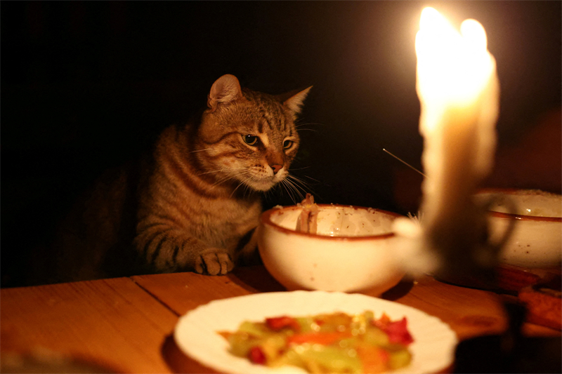 Chewy : proposition de valeur démontrée ?