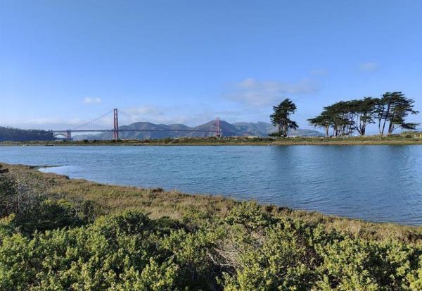 Cisco Systems : chute, le marché s'inquiète pour les marges