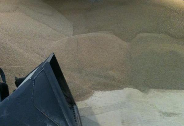 Cogra : confirme sa capacité renouer avec une croissance rentable