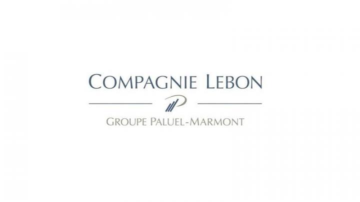 Compagnie Lebon : 295,1 ME d'ANR