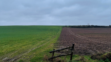 CRCAM Atlantique Vendée : un ratio de solvabilité bien au-delà du minimum réglementaire