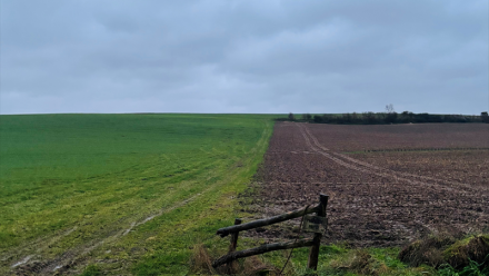 CRCAM Atlantique Vendée : un ratio de solvabilité bien au-delà du minimum réglementaire