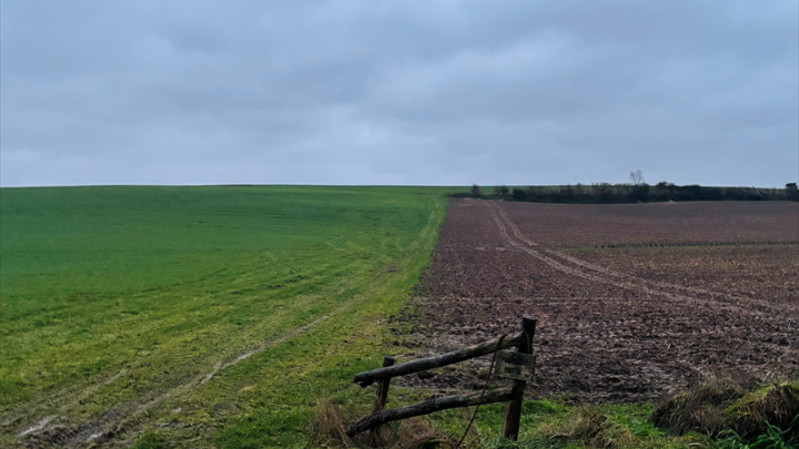 CRCAM Atlantique Vendée : un ratio de solvabilité bien au-delà du minimum réglementaire