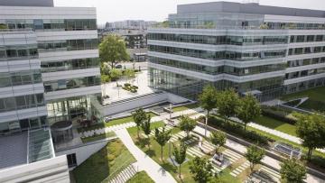 Dassault Systèmes : petit rebond