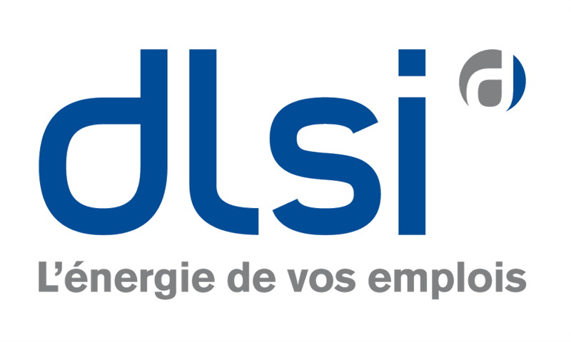 DLSI : ralentissement en France et à lInternational dans un contexte difficile