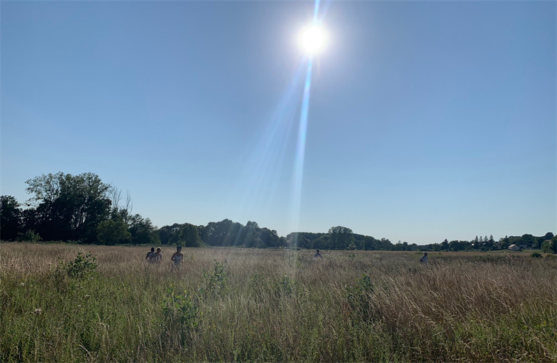 Dolfines : beau contrat avec Iberdrola