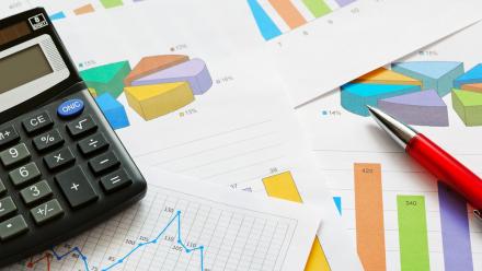 Dolfines : excédent brut d'exploitation 2024 légèrement positif