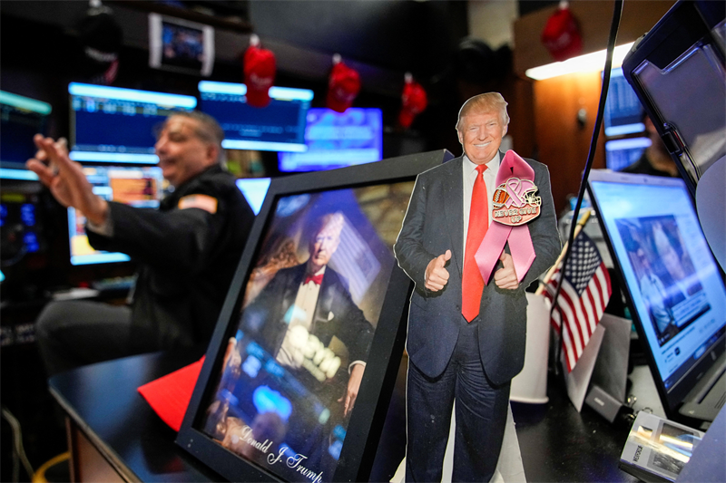 Dollar Tree, l'arbre à dollars