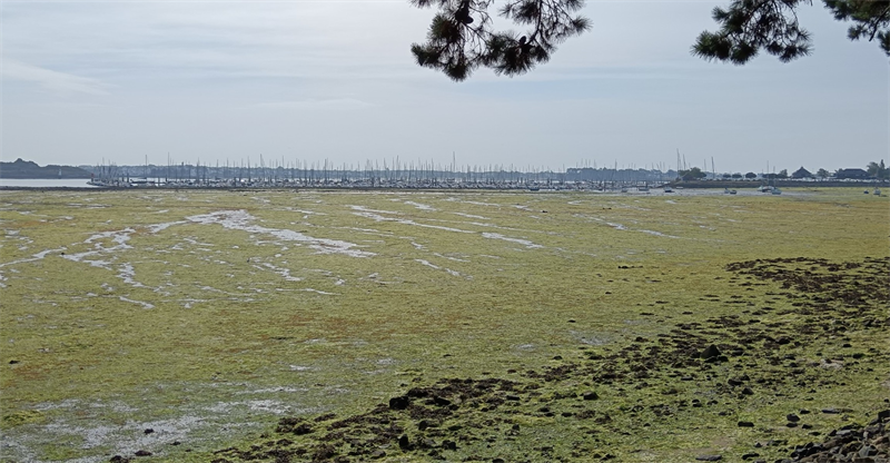 Ekinops et Orange Business s'unissent pour un plan de décarbonation