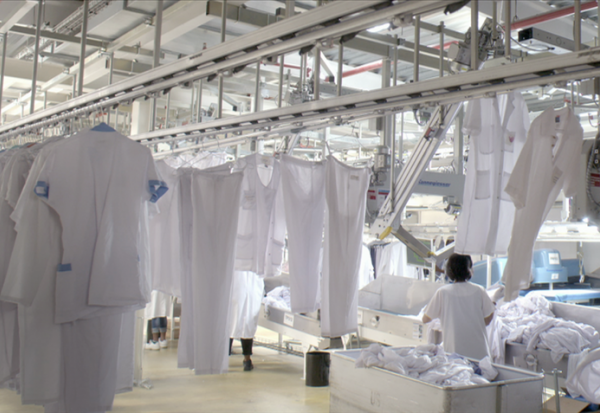 Elis : publication saluée