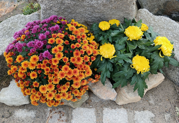 Emova Group confirme ses objectifs financiers