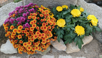 Emova Group confirme ses objectifs financiers