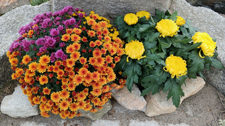 Emova Group confirme ses objectifs financiers