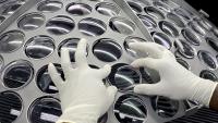 EssilorLuxottica : divisé par 2 depuis l'automne 2025