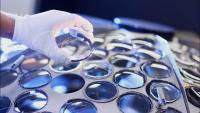 EssilorLuxottica lance un programme de rachat d'actions
