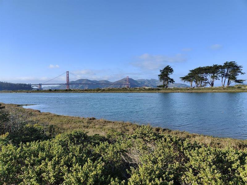 Etats-Unis : indice ISM des services au plus haut depuis juillet 2022