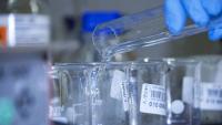 Eurofins propose une offre de tests de dépistage de l'hantavirus bien établie dans de nombreux pays