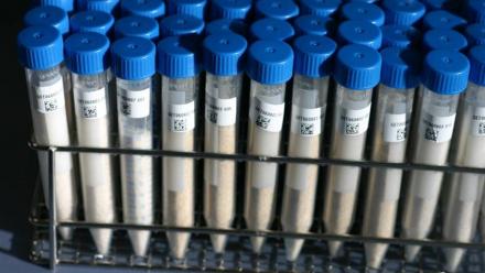 Eurofins Scientific : encore des ajustements d'analystes