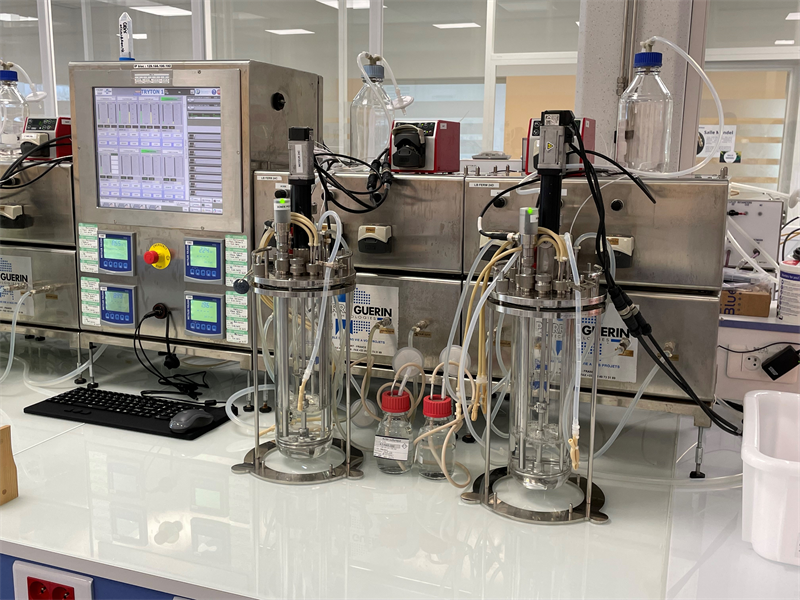 Fermentalg a réduit sa perte en 2025