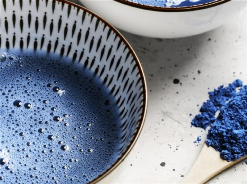 Fermentalg : agenda financier 2026