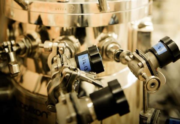 Fermentalg devrait améliorer ses résultats en 2026 mais...