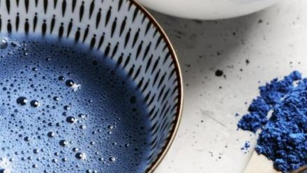 Fermentalg vise 13 ME de chiffre d'affaires annuel