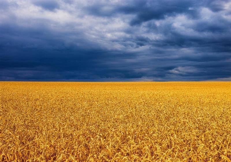 Florentaise : renouvellement de la période d'observation pour 6 mois