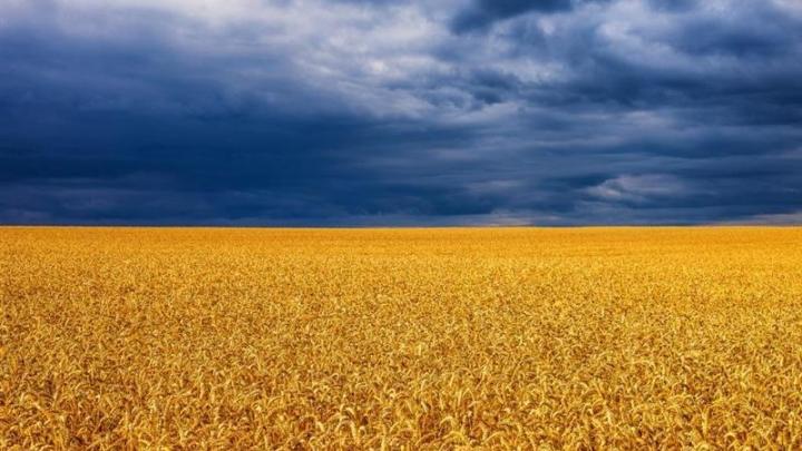 Florentaise : renouvellement de la période d'observation pour 6 mois