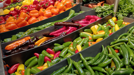 France : les prix à la production accélèrent en juillet