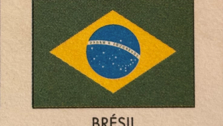 GECI International : nouveau contrat au Brésil