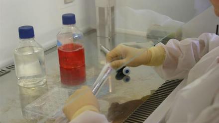 genOway confirme son objectif de 50 ME de revenus en 2028
