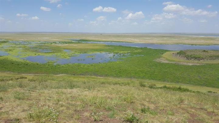 GL events obtient un contrat à Oulan-Bator