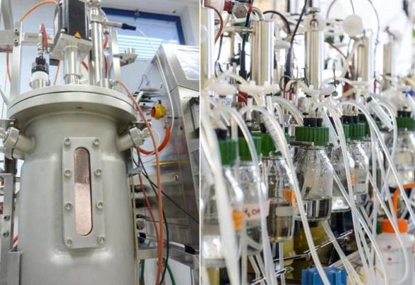 Global Bioenergies : en liquidation judiciaire