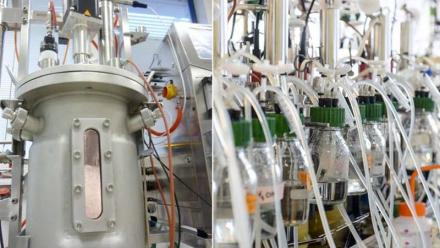 Global Bioenergies : en liquidation judiciaire