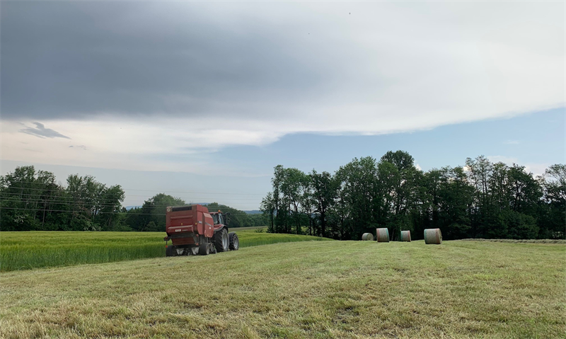 Goodvest enrichit son offre immobilière durable avec deux nouvelles SCI : Terres Invest et Territoires Avenir