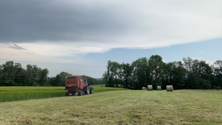 Goodvest enrichit son offre immobilière durable avec deux nouvelles SCI : Terres Invest et Territoires Avenir