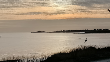 Imeon Energy : la tendance devrait s'améliorer au second semestre 2025