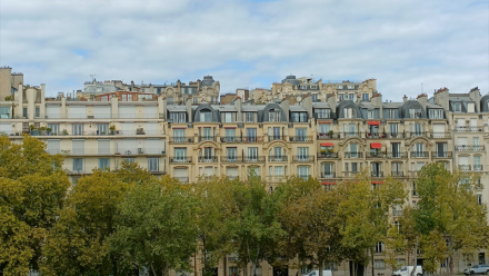 Immobilière Dassault : le taux d'occupation se maintient à plus de 93%