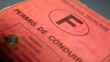 Lepermislibre contient sa perte en 2024