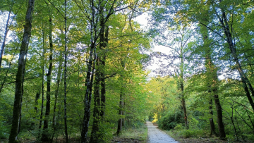 Les Constructeurs du Bois : gros contrat au Luxembourg