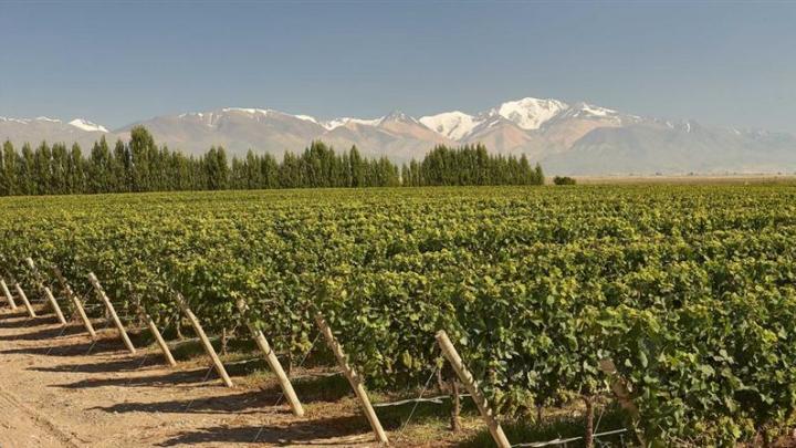 LVMH : Moët Hennessy annonce la troisième édition du World Living Soils Forum (WLSF)