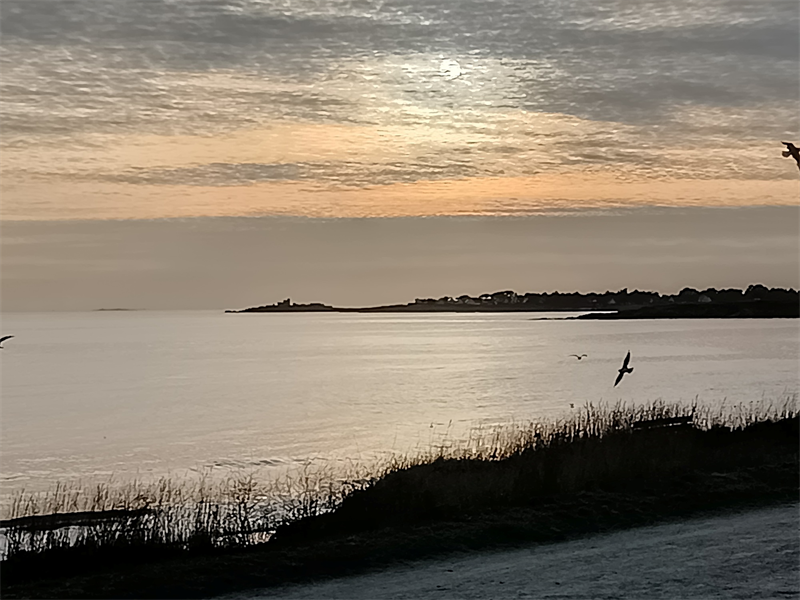 MaaT Pharma fait le point sur ses résultats