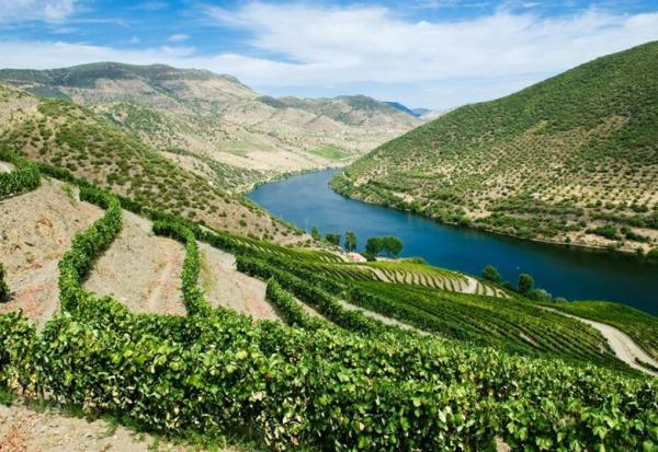 Maison Pommery & Associés : flambe sur un potentiel rapprochement stratégique avec Henkell International