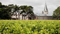 Maison Pommery & Associés : négociation aboutie avec les partenaires financiers mais pas d'accord avec Henkell International