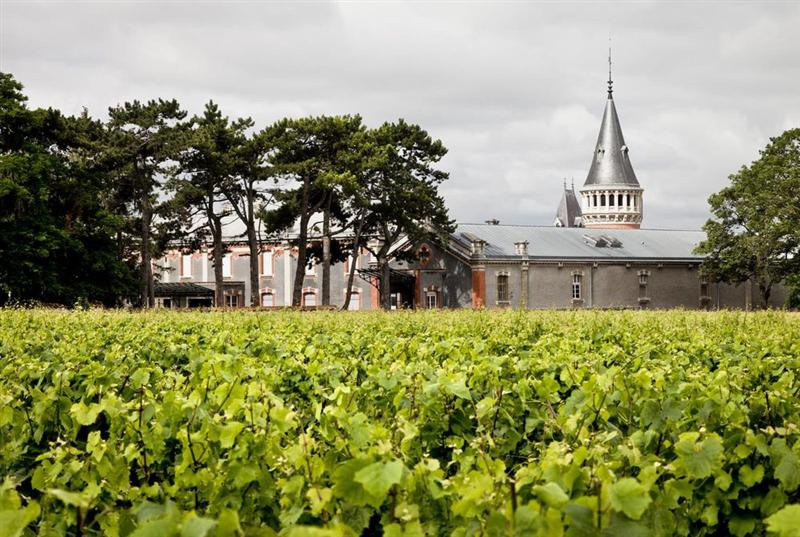 Maison Pommery : une activité 2025 en léger retrait