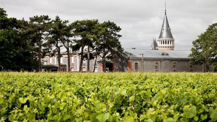 Maison Pommery : une activité 2025 en léger retrait