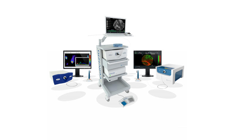 Mauna Kea Technologies fait un point
