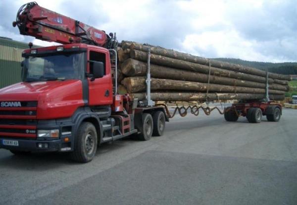 Moulinvest : le chiffre d'affaires annuel progresse de 4,2%