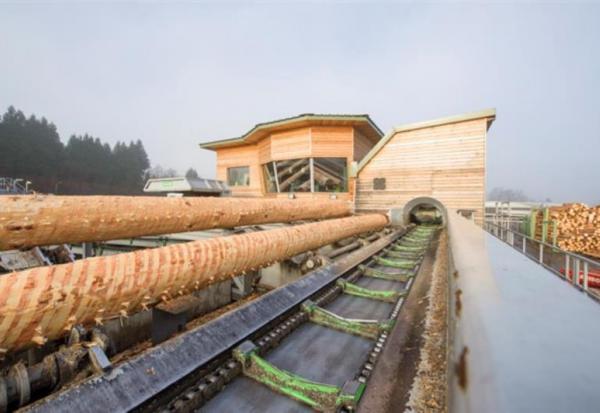 Moulinvest : résultats annuels en nette amélioration